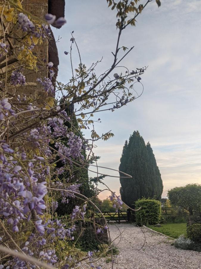 Aldon Farmhouse Villa Yeovil Bagian luar foto