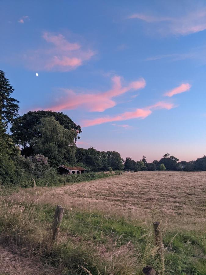 Aldon Farmhouse Villa Yeovil Bagian luar foto